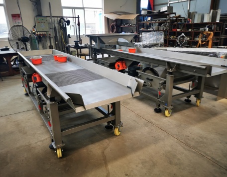 Vibrating sorting conveyor（新增）.jpg